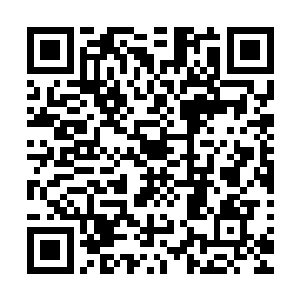 一部分的她还是可以勉强思考的――曾经在编剧界工作过的她二维码生成