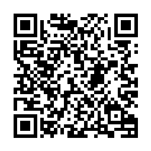 一部分血族承担驱逐外来企图侵占他们势力范围的异族二维码生成