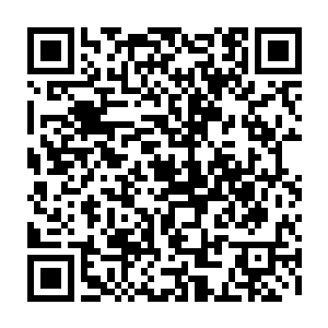 一部分距离伊布拉希莫维奇近的球员跑去找进球的伊布拉希莫维奇庆祝进球二维码生成