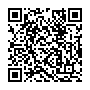 一部好的电视剧对于一个演员是有着致命吸引力的二维码生成