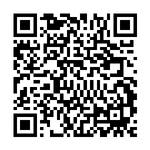 一醒来就看到他的默正用一种极为欣赏和略略疯狂的目光看着他二维码生成