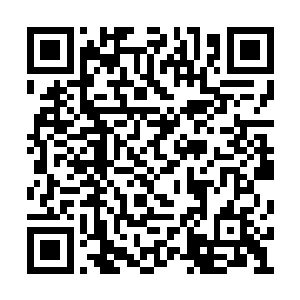 一长相极其乖巧的女子走到鸣人面前胆怯的问道二维码生成