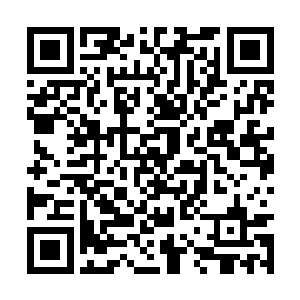 一问之下肖老爷子还真的已经雕琢出了几只手镯来二维码生成
