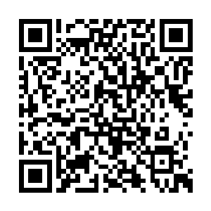 一阵悠扬急促犹如电音的鸽哨划破了寂静的夜空二维码生成