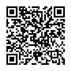一阵更加剧烈的轰鸣声也开始从楚旬和那人形雷劫之中激荡而出二维码生成