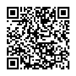 一阵死亡气息仿佛是比死亡之河当中的死气还要浓郁二维码生成