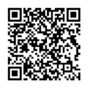 一阵淡到几乎让人无法察觉的光辉也从这四叶草上亮了起来二维码生成