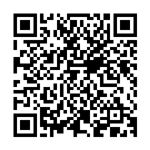 一阵金铁交加的撞击声和一阵阵充满了杀机的喊杀声也忽然响起二维码生成