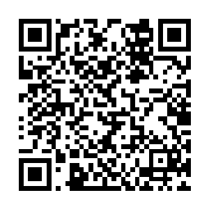 一阵阵剧烈高亢的警报声却忽然响彻了整个血骨城二维码生成