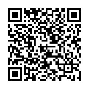 一阵阵惨叫声顿时也直接从血刃山寨的众人的嘴里传出二维码生成