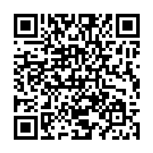 一阵阵淡淡的白光以极快的速度在山涧里来回穿梭二维码生成