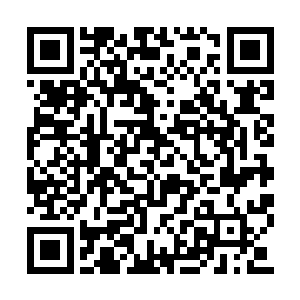 一阵阵的余波毫无顾忌的轰击向韩风和雷霆黑龙二维码生成