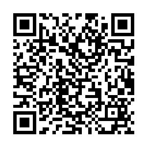 一阵风似的消失在已经大步走远的永昌帝和李逸辰身后二维码生成