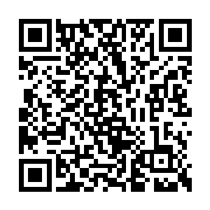 一面圆形而带着古朴花纹的盾牌立即出现在手上二维码生成