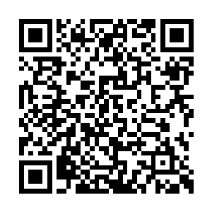 一面给郡主输入真气一面又从石精当中汲取元气二维码生成