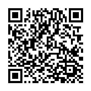 一页一页拿着我们分头行动到各个班级去找同学签字二维码生成