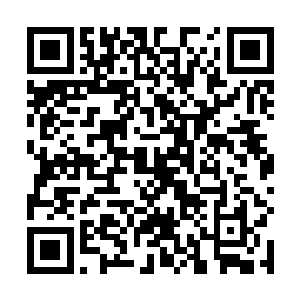 一颗巴掌大散发出黑灰两种颜色的九瓣莲花滴溜溜直转二维码生成