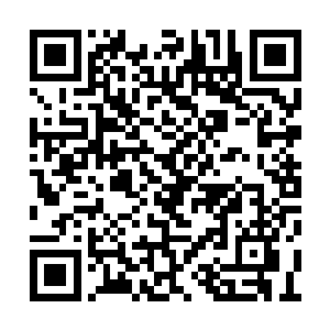 一颗心在这么多年中已然回到当初当特工时一样二维码生成