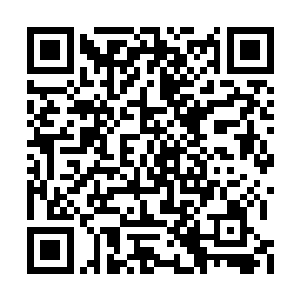 一颗扑通扑通只是乱跳的心竟然渐渐平稳了下来二维码生成