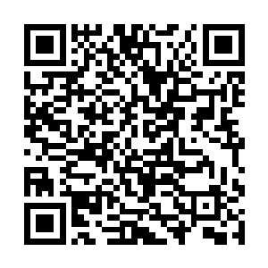 一颗本源之果能让张铁全身的本源再壮大十二分之一二维码生成
