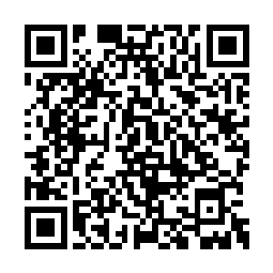 一颗由白凤凰凝聚白色粉尘炼制而成的一颗星球二维码生成