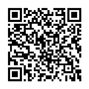 一颗硕大的人头断裂顺着地面咕噜噜的滚出老远二维码生成