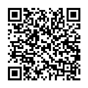 一颗碧绿碧绿的竹子重生九二之商业大亨全文阅读二维码生成