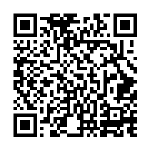 一颗颗普通而又寻常的星辰在叶然的眼眸当中渐渐地放大二维码生成