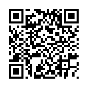 一颗高耸的圣诞树伫立在宫前广场二维码生成