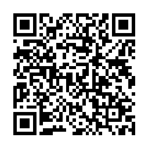 一首首巨大的骨舟在巫咸国国都的上空忙碌地降落飞起二维码生成