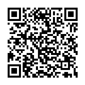 丁主任倒是有那么一些三天打鱼两天晒网的意思二维码生成