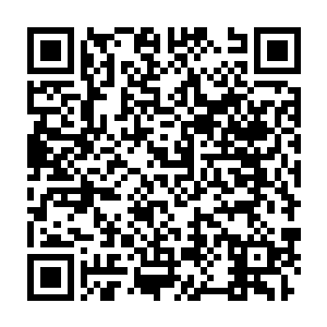 丁二狗将两套运动服和羽绒服还有鞋和袜子拿着扔进了车的后座上二维码生成