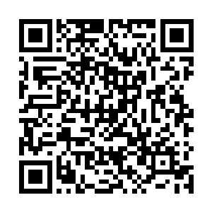 丁二狗深情但是有点恶心的告白让傅品千有点找不着北二维码生成