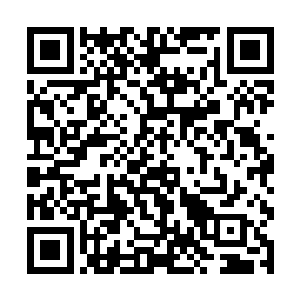 丁佳慧如同一个疯婆子一般的歇斯底里的狂怒了起来二维码生成