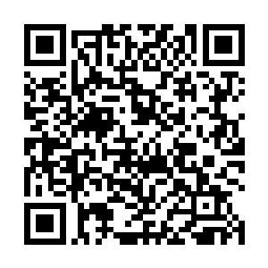 丁奉如见一面洁白如狮更带有神圣无上气息的神兽相势二维码生成