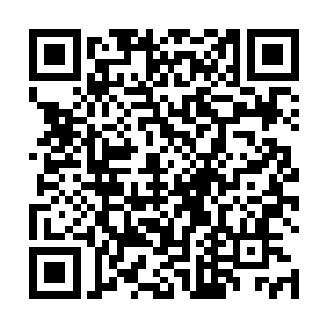 丁思思叫住刚从楼上房间里打扫完卫生下来的佣人张露二维码生成