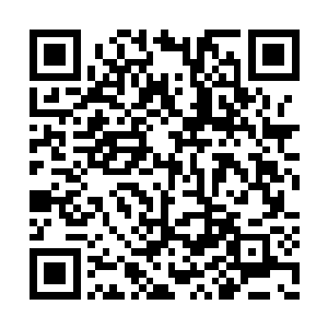 丁林和赵淑英看着在沙发上面乱蹦的孙子和孙女二维码生成