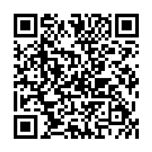 丁羽也是刻意的拿出来尺子给两个小家伙量了量二维码生成