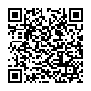 丁羽也是注意的看着他们两个人的表情和肢体动作二维码生成