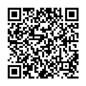 丁羽也没有要跟东方家族里面的太多的人要打招呼的意思二维码生成
