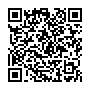 丁羽参与进来的可能性并不是想象当中的那么大二维码生成