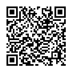 丁羽和金泰熙两个人也是把东西简单的收拾了一下二维码生成