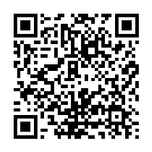 丁羽已经在自己的笔记本上面开始勾勒自己想要的人了二维码生成