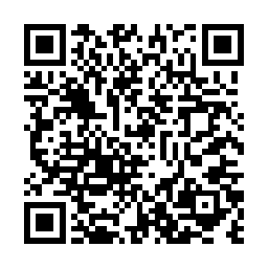 丁羽是不是很早的时候就已经打过了基地这边的主意二维码生成