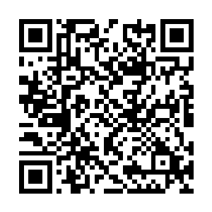 丁羽是隔了差不多两天一宿的时间才从山上面下来二维码生成