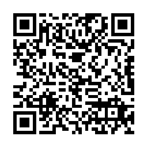丁羽晚上的时候也是把所有的学生都给召集到了一起二维码生成