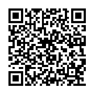 丁羽现在这个时候依旧还是过着两点一线的生活二维码生成