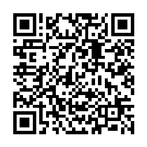 丁羽的付出从目前的情况来看好像是有那么一些多二维码生成