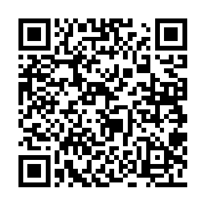 丁羽的目光也是在四个人的身上面来回的扫视着二维码生成