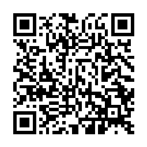 丁羽貌似突然之间的发现了什么用手指了指他们几个孩子二维码生成